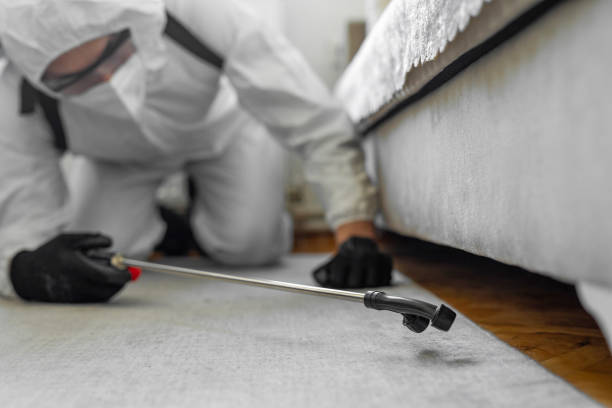 Professional Emergency Pest Control technician working in New Plymouth, ID