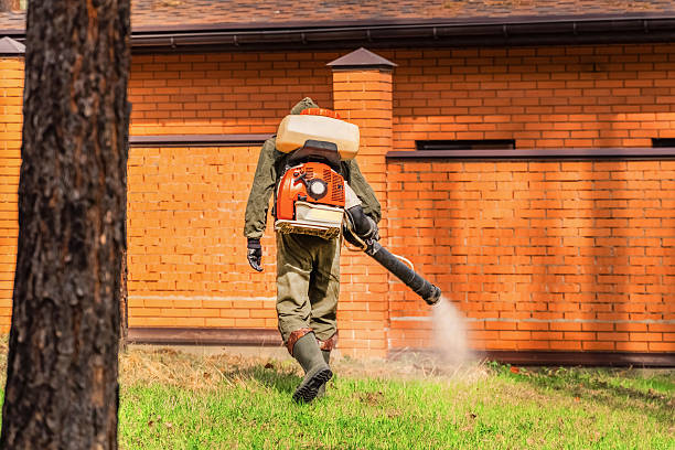 Trusted Ant Control service in New Plymouth, ID - Nex Pest Control